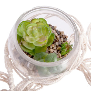 Atmosferă de plantă artificială Nomade, 10 cm