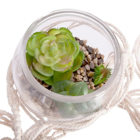 Atmosferă de plantă artificială Nomade, 10 cm