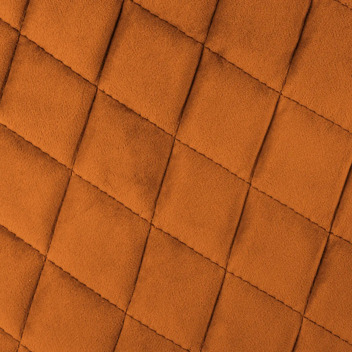 Scaun de sufragerie cu atmosferă Marlo, din velur