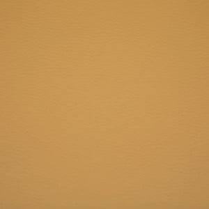 Scaun de masă Atmosphera Baya, Polipropilenă, Fag