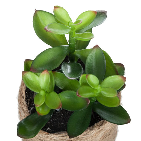 Atmosferă vegetală artificială, 16 cm, diverse specii