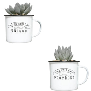 Atmosferă vegetală artificială, 10,5 cm, diverse specii