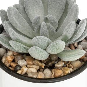 Atmosferă vegetală artificială, 10,5 cm, diverse specii