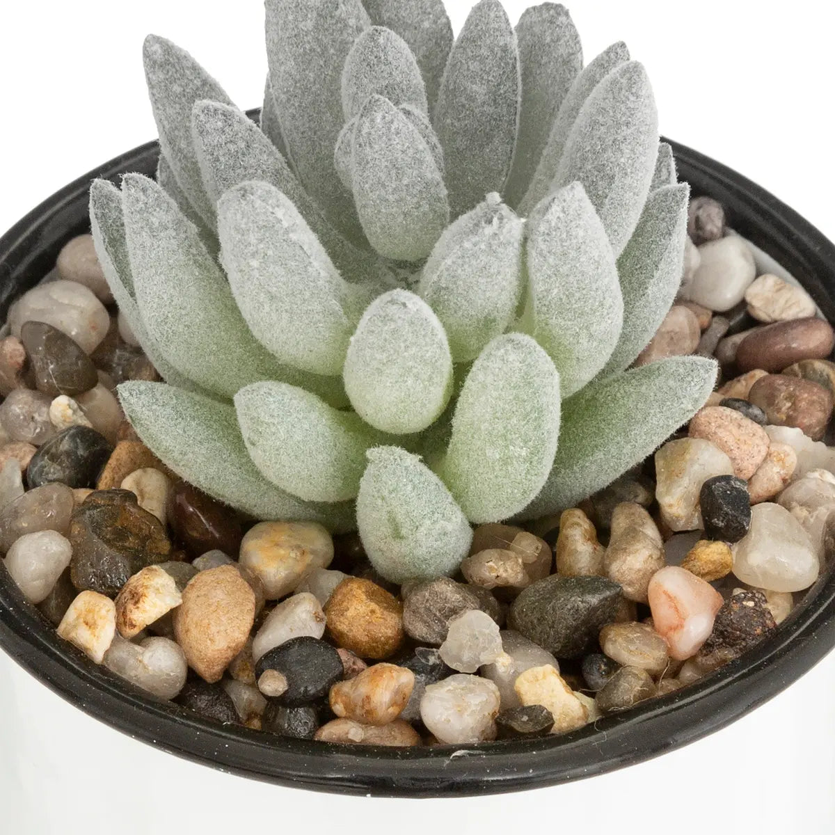 Atmosferă vegetală artificială, 10,5 cm, diverse specii