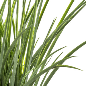 Plantă artificială Atmosphera Grass, 49 cm, iasomie