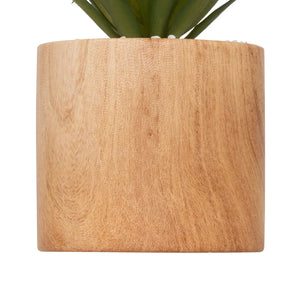 Plantă artificială Atmosphera Sao, 17,5 cm