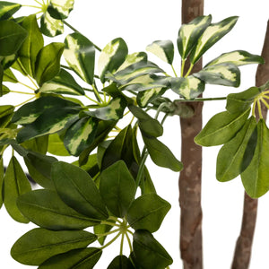 Atmosferă de plantă artificială Schefflera, 130 cm