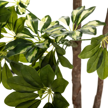 Atmosferă de plantă artificială Schefflera, 130 cm
