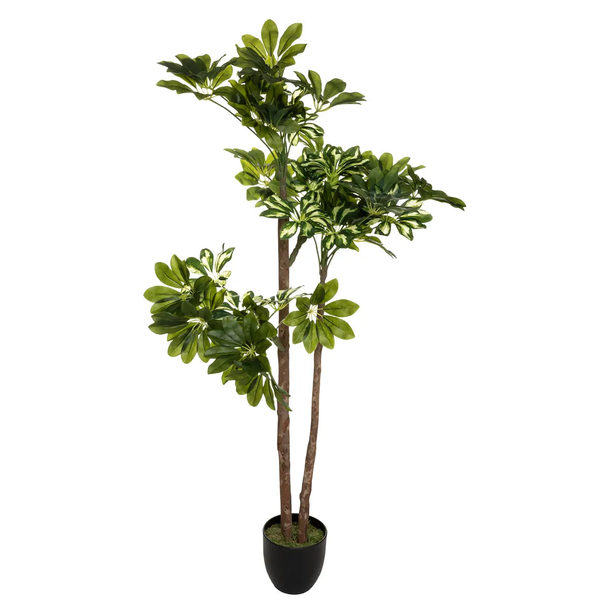 Atmosferă de plantă artificială Schefflera, 130 cm