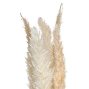 Plantă artificială Atmosphera Natural Pampa, 65cm, 6 buc, bej