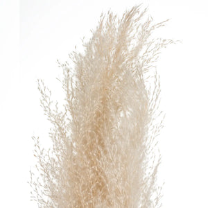 Plantă artificială Atmosphera Natural Pampa, 110cm, 3 buc, bej