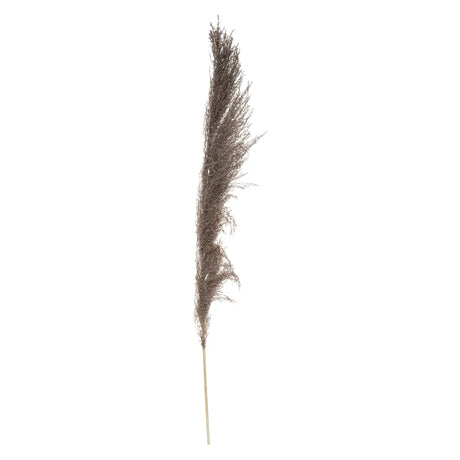 Plantă artificială Atmosphera Natural Pampa, 110cm, 3 buc, maro