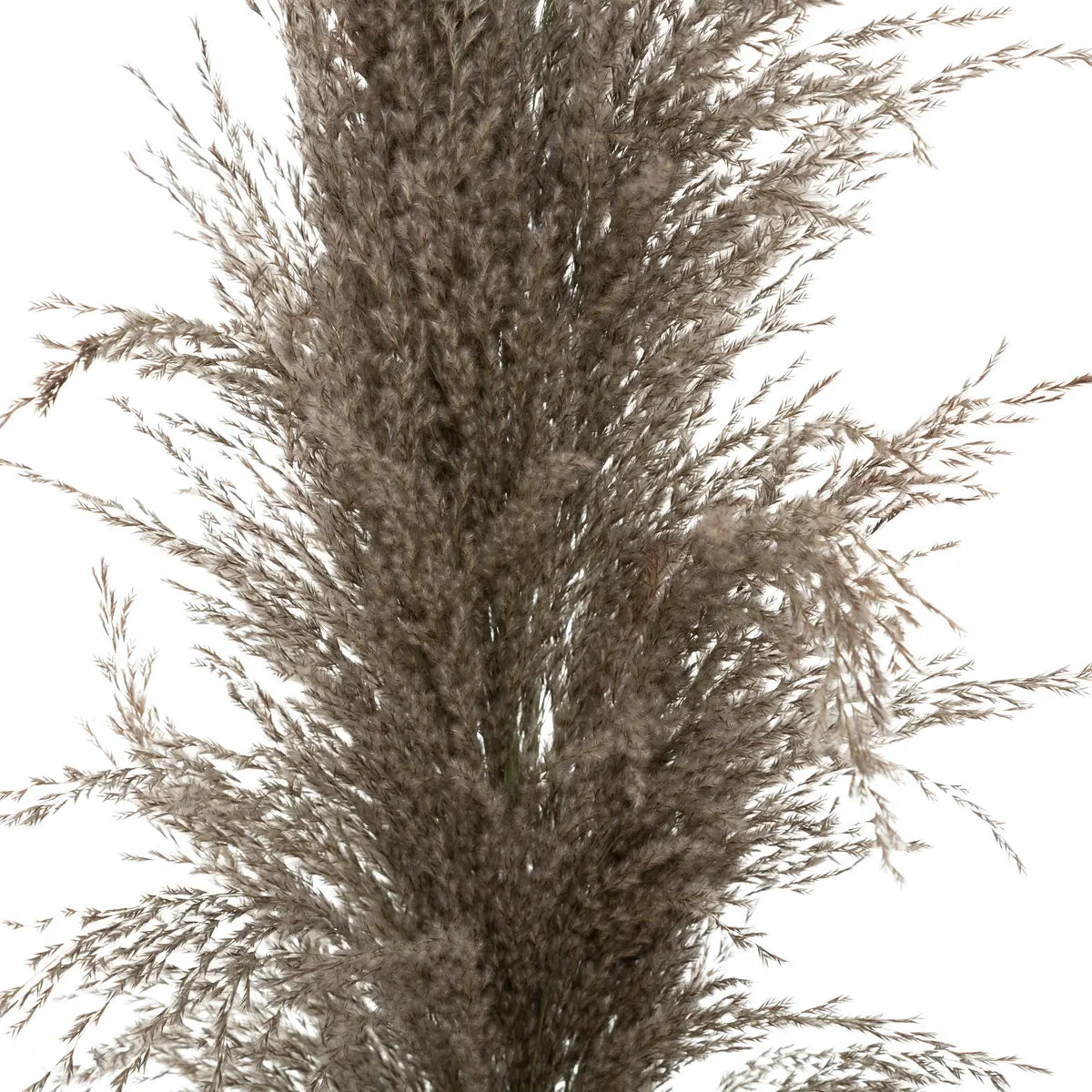 Plantă artificială Atmosphera Natural Pampa, 110cm, 3 buc, maro