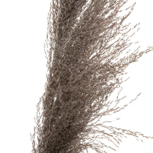 Plantă artificială Atmosphera Natural Pampa, 110cm, 3 buc, maro