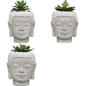 Plantă artificială Atmosphere Buddha, 13,5 cm, diverse specii