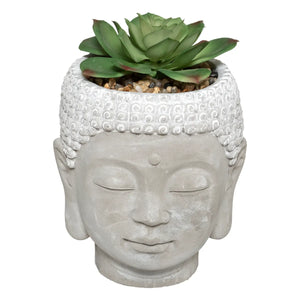 Plantă artificială Atmosphere Buddha, 13,5 cm, diverse specii