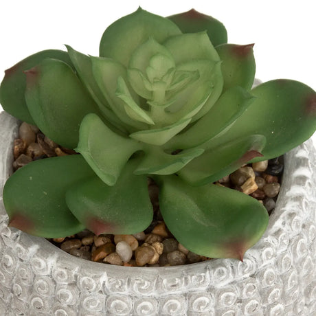 Plantă artificială Atmosphere Buddha, 13,5 cm, diverse specii