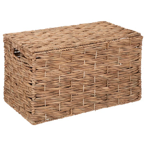 Set cutii de depozitare Atmosphera Origins, 3 buc., Zambilă de apă