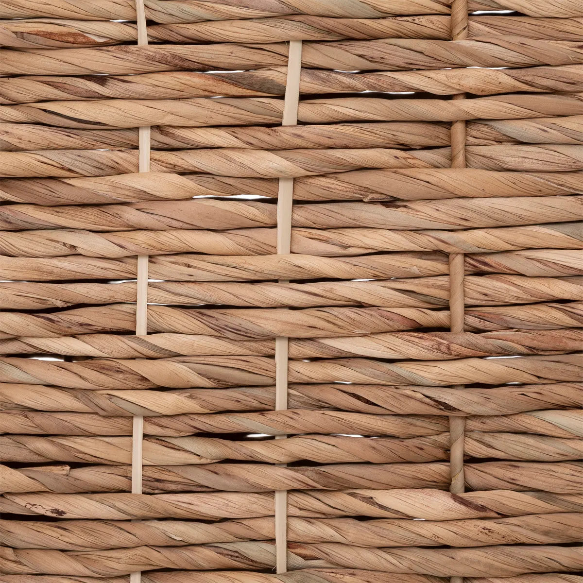 Set cutii de depozitare Atmosphera Origins, 3 buc., Zambilă de apă