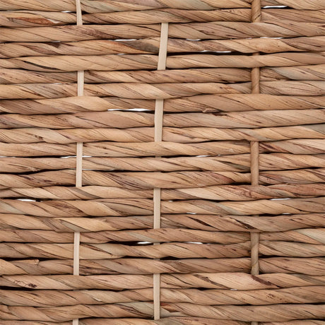 Set cutii de depozitare Atmosphera Origins, 3 buc., Zambilă de apă