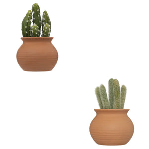 Cactus artificial de atmosferă Ali, 16,5 cm, diverse specii
