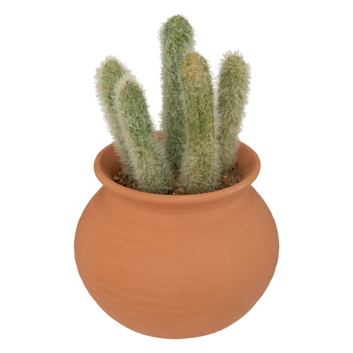 Cactus artificial de atmosferă Ali, 16,5 cm, diverse specii