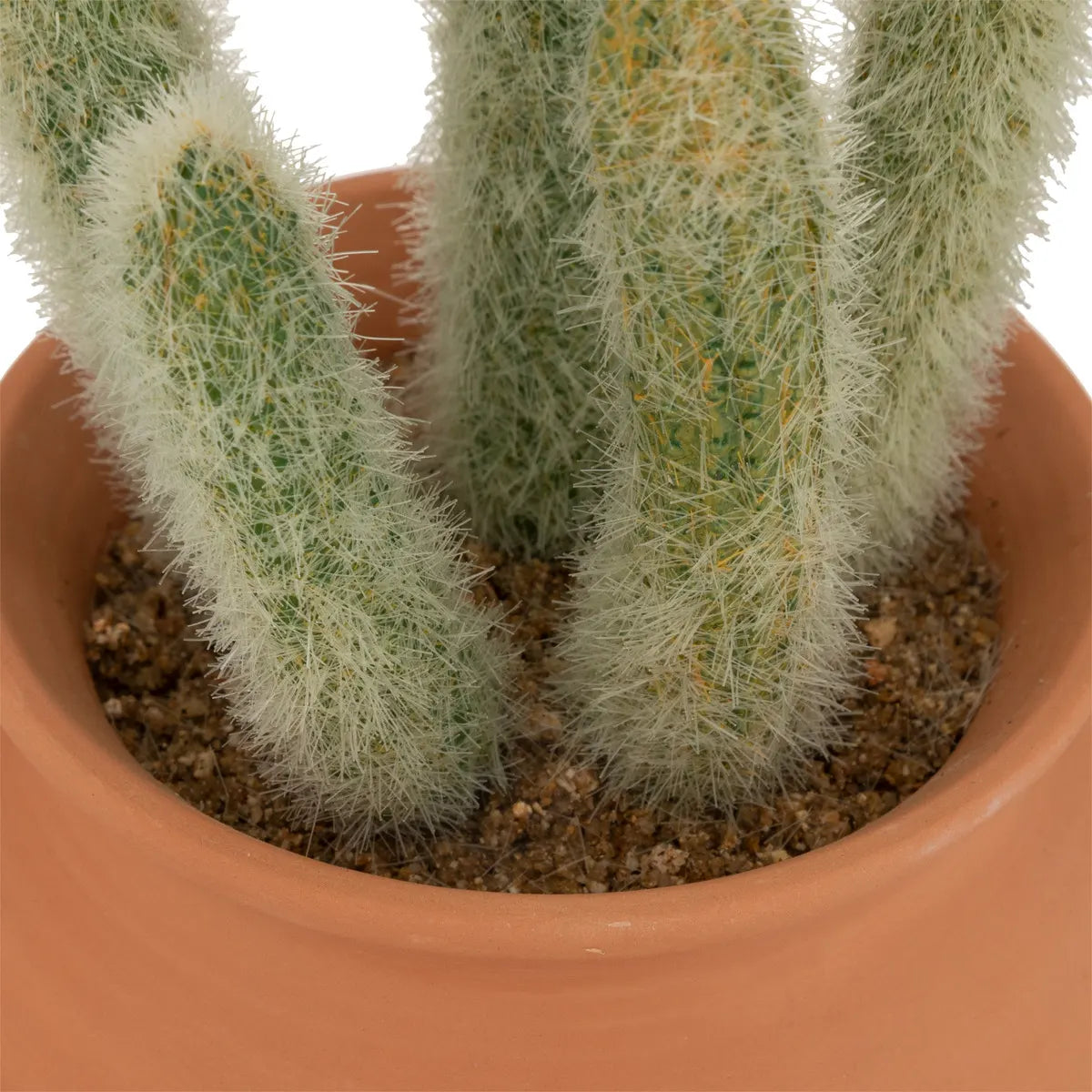 Cactus artificial de atmosferă Ali, 16,5 cm, diverse specii
