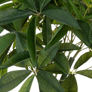 Plantă artificială Atmosphera Pachira Tree, 110 cm