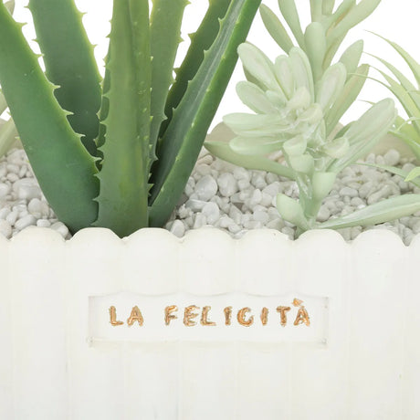 Atmosfera de plante artificiale Rivi, 15 cm