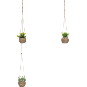 Atmosferă de plantă artificială Zoe, 17 cm, diverse specii