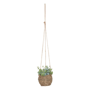 Atmosferă de plantă artificială Zoe, 17 cm, diverse specii