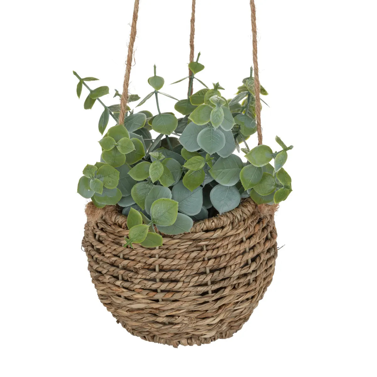 Atmosferă de plantă artificială Zoe, 17 cm, diverse specii
