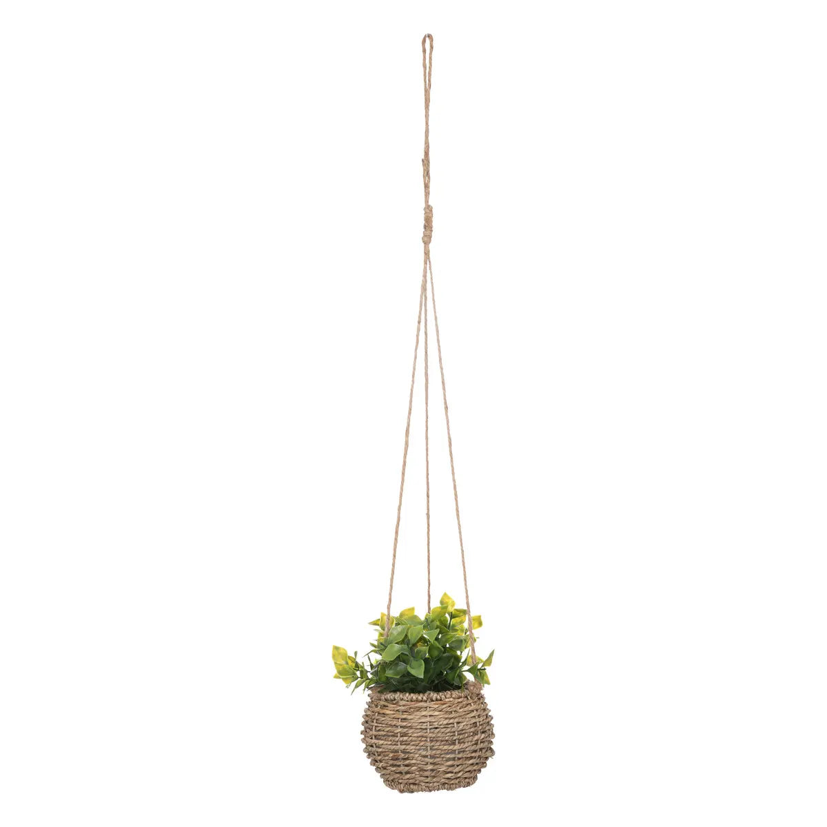 Atmosferă de plantă artificială Zoe, 17 cm, diverse specii