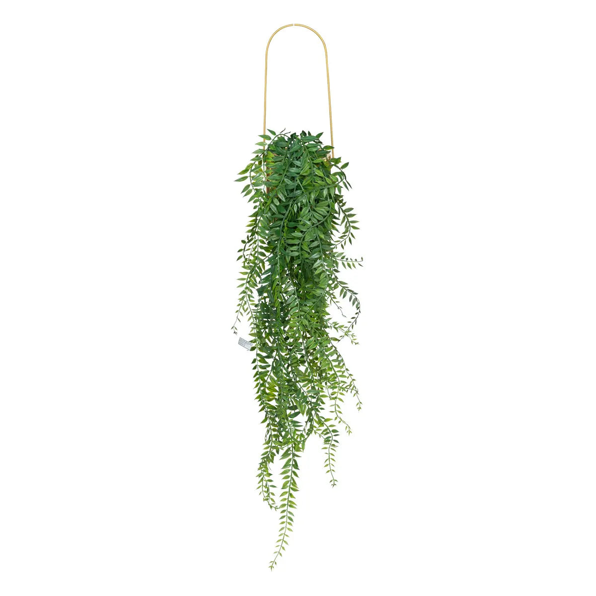 Atmosfera de plante artificiale Le Collectionneur, 82 cm