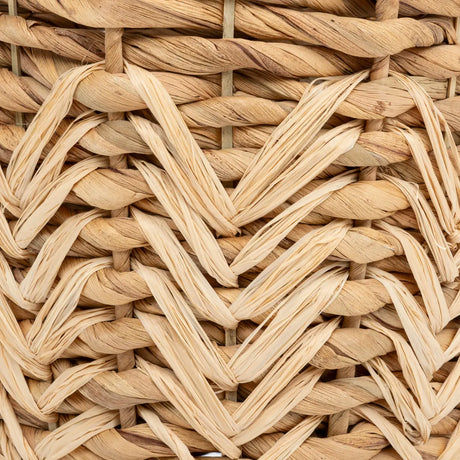 Vază Atmosphera Exotic Panama, 38 cm, Zambilă de apă