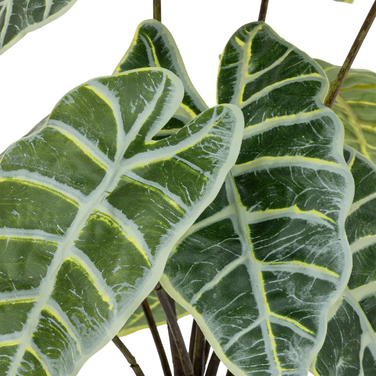 Atmosferă de plantă artificială Soleya Alocasia, 43 cm