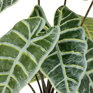 Atmosferă de plantă artificială Soleya Alocasia, 43 cm