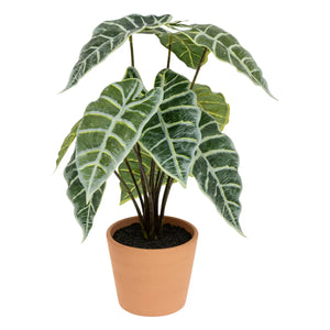 Atmosferă de plantă artificială Soleya Alocasia, 43 cm