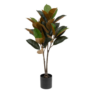 Atmosfera de plante artificiale Agnolia, 76 cm