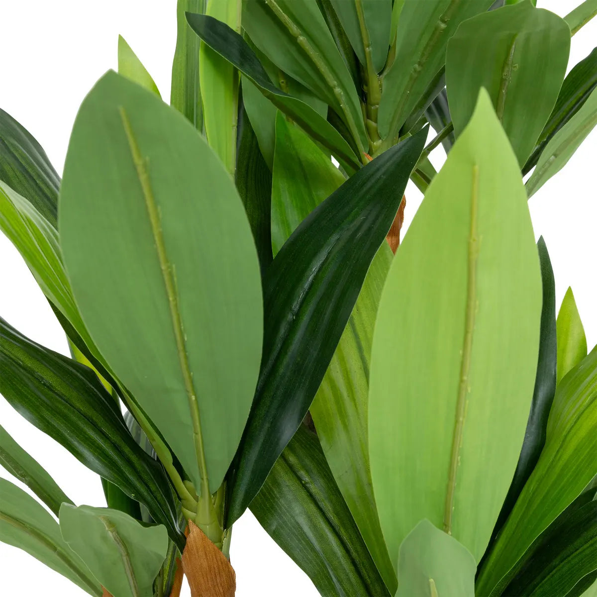 Atmosfera de plante artificiale Dracena Tree Onia, 105 cm