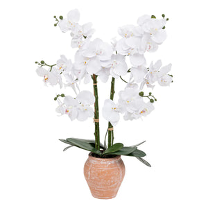Flori artificiale Atmosphera Orhidee Dena, 65 cm