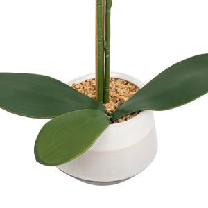 Flori artificiale Atmosphera Clera Orchid, 52 cm