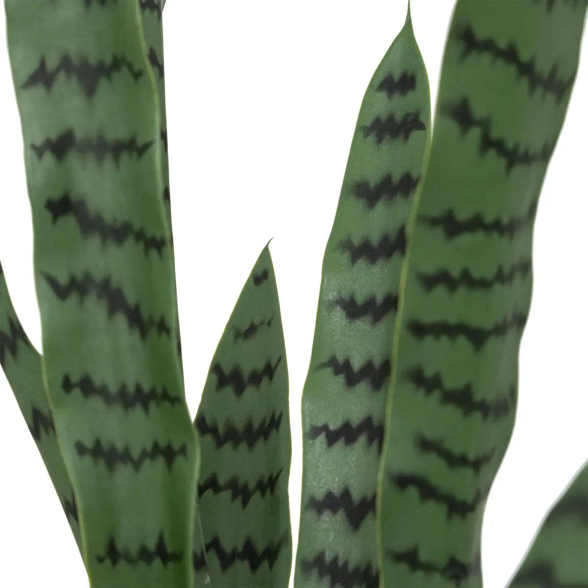 Plantă artificială atmosferă Sansevieria Toby, 90 cm