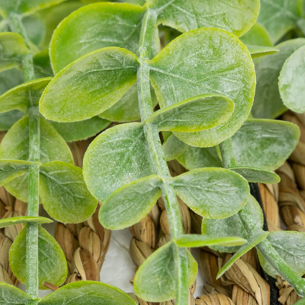 Plantă artificială Atmosphera Zea Eucalipt suspendat, 70 cm