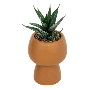Atmosferă de plantă artificială Livy, 17 cm, diverse specii