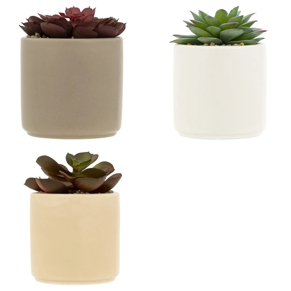 Atmosferă de plantă artificială Nils, 12 cm, diverse specii