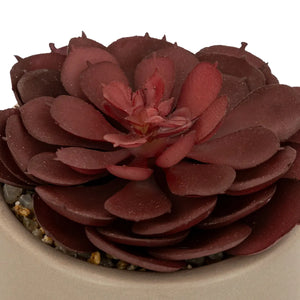 Atmosferă de plantă artificială Nils, 12 cm, diverse specii