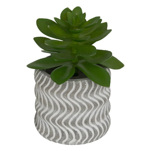Plantă artificială Atmosphera Ubi Succulent, 7 cm, diverse specii