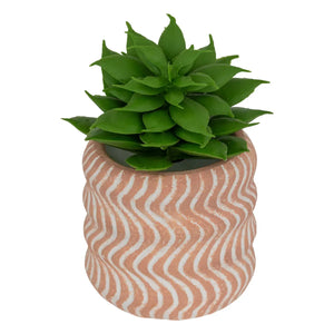 Plantă artificială Atmosphera Ubi Succulent, 7 cm, diverse specii
