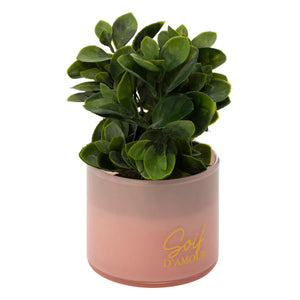 Plantă artificială Atmosphera Tayli Succulent, 18 cm, diverse specii